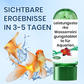 💯HOT SALE🔥Kraftfuld tablet til rensning af akvarievand