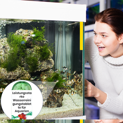 💯HOT SALE🔥Kraftfuld tablet til rensning af akvarievand