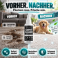 🔥🎁 2+1 GRATIS!!🥳 Tæppespray til dybderensning – fjerner genstridige pletter og neutraliserer lugte med det samme!
