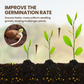 🔥Limited Sale - BUY 1 GET 1 FREE🔥Soil Improvement Loosening Agent