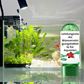 💯HOT SALE🔥Kraftfuld tablet til rensning af akvarievand