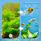 🐟🐠Professionel filtreringspude til akvarier