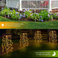 💐50 % RABAT! Solcelledrevne havelygter – varm og indbydende belysning til terrassen ✨🏠【Begrænset tilbud】