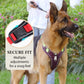 🐶 50 % RABAT NU! 🛡️ Hundesele, der ikke trækker, med snor og LED-halsbånd – sikker og behagelig ✨